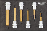 HAZET Screwdriver socket set 163-302/6 ∙ Square, hollow 10 mm (3/8 inch) ∙ Inside hexagon profile ∙∙ 4 – 10 ∙ Number of tools: 6