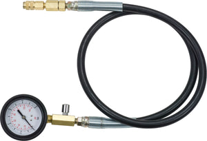 Manometer with tube, 10 bar