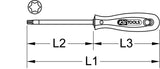 ERGOTORQUE screwdriver Torx, T20, long